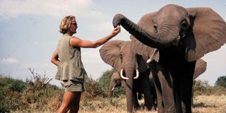 World-renowned conservationist and president of Save the Elephant, Dr Ian Douglas-Hamilton
