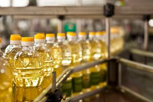 Edible oils