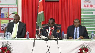 WhatsApp Image 2025-12-11 at 14.34.33