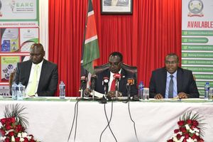 WhatsApp Image 2025-12-11 at 14.34.33