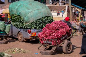 Wakulima market