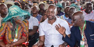 DN Piny Luo 1412 (40)