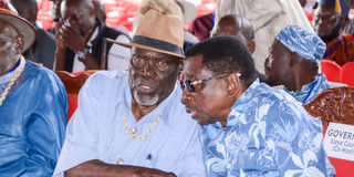 DN Piny Luo 1412 (39)