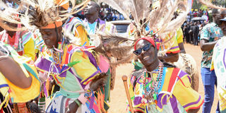 DN Piny Luo 1412 (12)