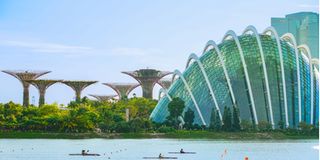 Gardens by the Bay located in Singapore.