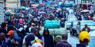 DNChristmastravel2112(6)