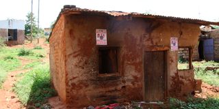 dnKambitifeaturexcv9