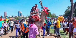 DNNaiChristmas2512(20)