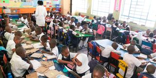 St Xaviers Primary School 