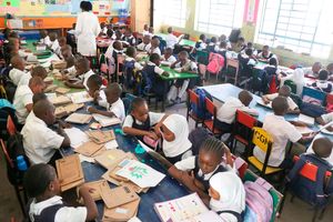 St Xaviers Primary School 