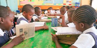 St Xaviers Primary School 