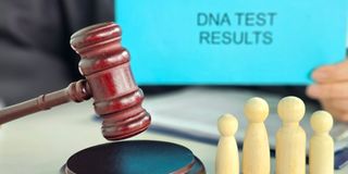 Court setting with gavel and DNA test results representing legal decision making process