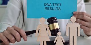 Court setting with gavel and DNA test results representing legal decision making process