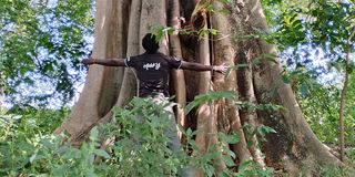 Charcoal laid out for sale on the Kenol–Sagana highway. Muthike