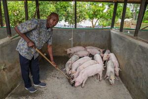 John Muriuki