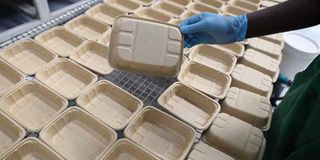 biodegradable food containers 