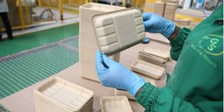 Green Stem Product Limited 