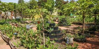 Fresh Organic Produce Association farm 