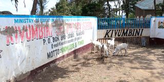 Kivumbini Mixed Secondary School Nakuru