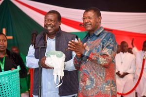 Musalia Mudavadi and Moses Wetang’ula