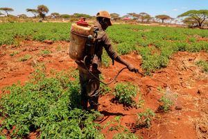 Spraying crops