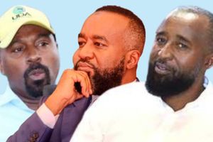 Mohammed Amir, Hassan Joho
