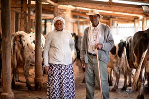 Dairy farmers