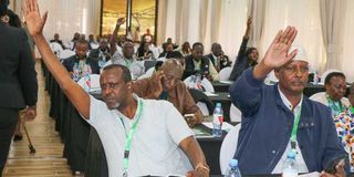 WhatsApp Image 2026-01-25 at 00.38.36