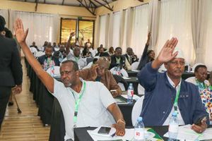 WhatsApp Image 2026-01-25 at 00.38.36