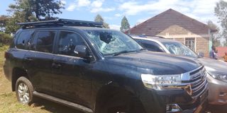 WhatsApp Image 2026-01-25 at 13.50.59