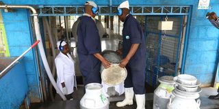 dairy farmers 