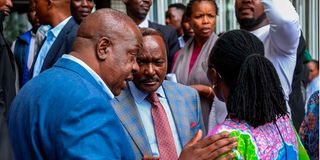 United opposition leaders