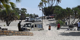 DSC_8060 (1)@-510251196 (1)