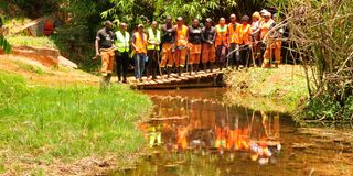 Ondiri swamp 