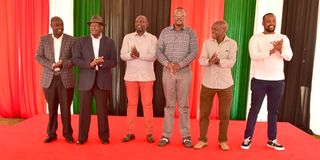 WhatsApp Image 2026-02-08 at 00.23.25