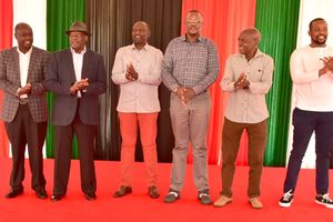 WhatsApp Image 2026-02-08 at 00.23.25