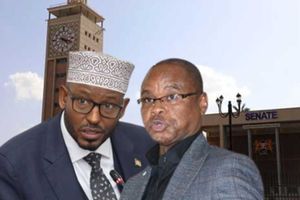  Ahmed Abdullahi , Amason Kingi.