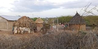 IMG_20260209_184128_594@456736524