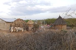 IMG_20260209_184128_594@456736524