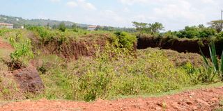 Kanyakwar quarry 