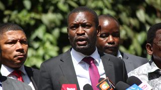 WhatsApp Image 2026-02-12 at 11.56.53