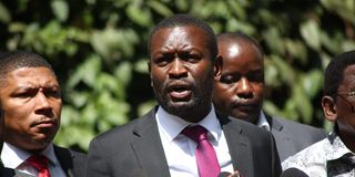 WhatsApp Image 2026-02-12 at 11.56.53