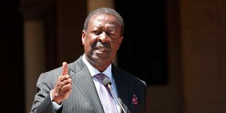 Musalia Mudavadi 