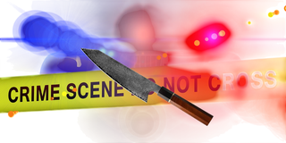 Nation inside - 2026-02-13T085700.199