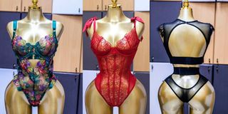 Royal Curves Plus Size lingerie by Anita