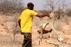 Abdikadir Gabow Hussein
