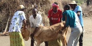 Isiolo drought 