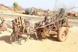 Mandera drought 