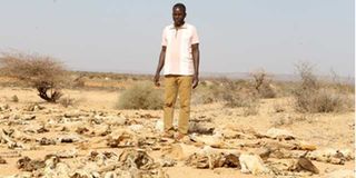 Mandera drought 
