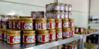 Malmo Foods